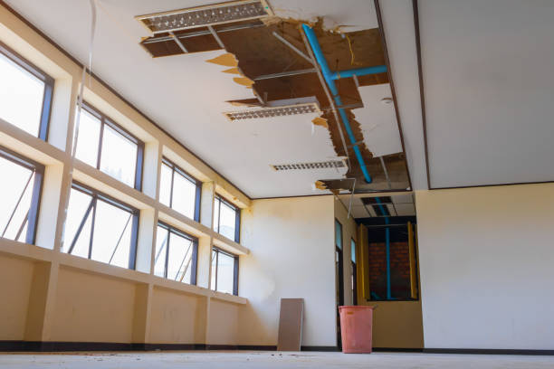 Best Local water damage restoration  in Rogers, TX