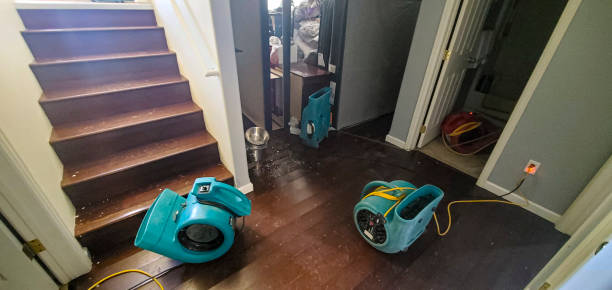 Best Sewage cleanup and water damage restoration  in Rogers, TX