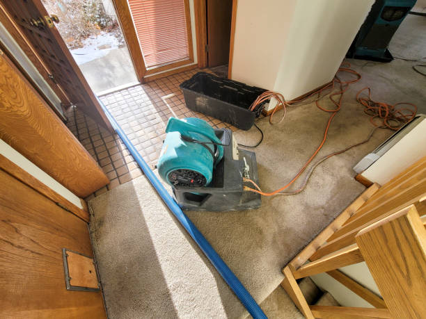 Best Water damage restoration near me  in Rogers, TX