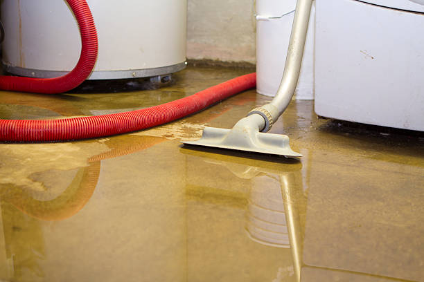 Best Flood damage cleanup  in Rogers, TX