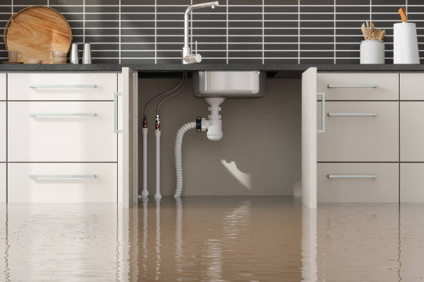 Best Sewage cleanup and water damage restoration  in Rogers, TX