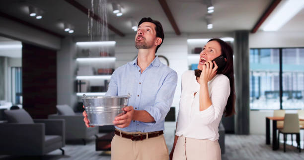 Best Local water damage restoration  in Rogers, TX
